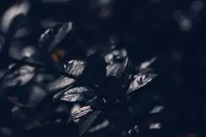 止流鼻血，秒解烦恼！