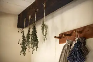 葛根粉,吃对了才能有效果! 葛根粉,吃对了才能有效果!
