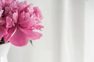 消除法令纹,让你重现青春美肌! 消除法令纹,让你重现青春美肌!
