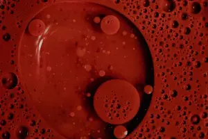 补气养血,健康更美好! 补气养血,健康更美好!