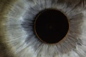 眼底充血神器,轻松解决眼部问题! 眼底充血神器,轻松解决眼部问题!