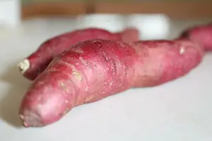美味养胃 从这里开始