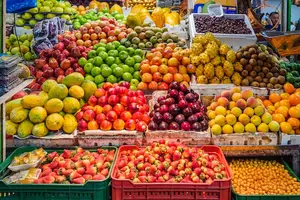 轻松治疗蛋白尿 轻松治疗蛋白尿