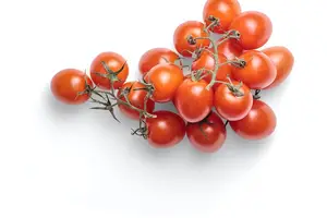 畅通肠道,轻松告别便秘 畅通肠道,轻松告别便秘