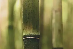 瑕不掩瑜，冠状沟小疙瘩轻松解决