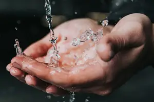 高血小板？平均值偏高？让我们帮你解决！