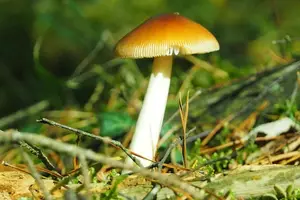 赶走手脚气,告别烦恼! 赶走手脚气,告别烦恼!