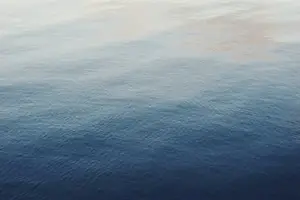 畅通气血，改善血瘀体质