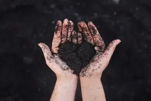 通血气循环，健康无忧