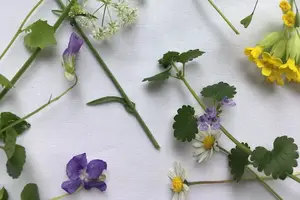 让你重新焕发青春活力的补肾之药! 让你重新焕发青春活力的补肾之药!