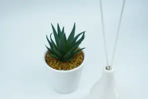 耳朵进水?瞬间解决耳道不透气的烦恼! 耳朵进水?瞬间解决耳道不透气的烦恼!