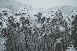 轻松止嗝,让打嗝不再困扰! 轻松止嗝,让打嗝不再困扰!