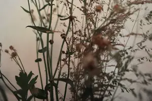 秒赞瘦脸神器，让你摆脱难缠的双下巴！