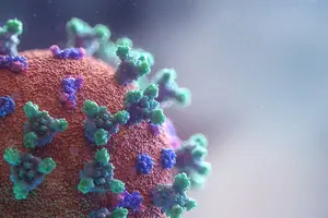植发价格问答大揭秘:到底多少钱能拯救你的头发 植发价格问答大揭秘:到底多少钱能拯救你的头发