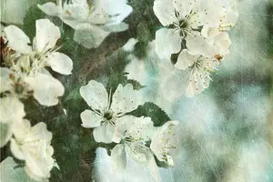 痤疮再不治,留下后遗症! 痤疮再不治,留下后遗症!