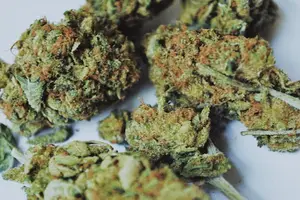 药膳配方,改善肝硬化症状 快速促进康复 药膳配方,改善肝硬化症状 快速促进康复