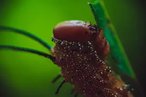 止痛神器，强直性脊柱炎症状瞬间消失！