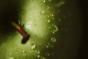 莲花盘坐与整根吸入的功效:男女都适用的独特修行方法