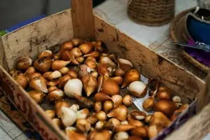 调理内分泌，远离烦恼