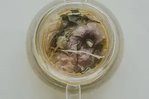 燃醇人生,尽在补肾良食 燃醇人生,尽在补肾良食