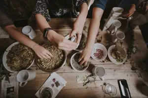 桂枝,暖心驱寒,调理生机! 桂枝,暖心驱寒,调理生机!