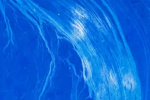 解决嘴苦难题，让你的口气清新自信！