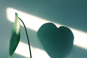 省钱又放心,埋线双眼皮再也不怕贵啦! 省钱又放心,埋线双眼皮再也不怕贵啦!