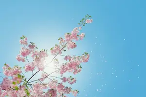 痣出现频率高?原因揭秘! 痣出现频率高?原因揭秘!