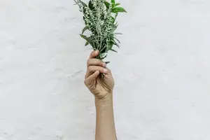 祛湿健脾,归脾丸助您轻松消除不适! 祛湿健脾,归脾丸助您轻松消除不适!