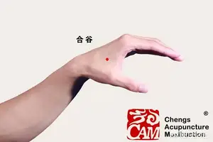 牙痛怎么缓解？ 牙疼得很怎样治疗和缓解？