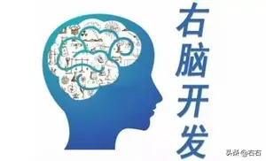 右脑怎么开发？ 如何开发右脑？右脑开发有哪些方法？