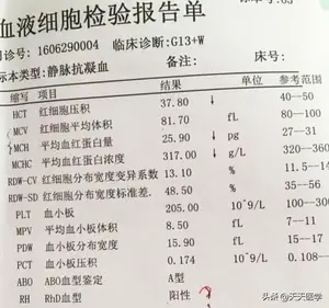 贫血应该怎么补吃什么好？ 贫血怎么补最好？