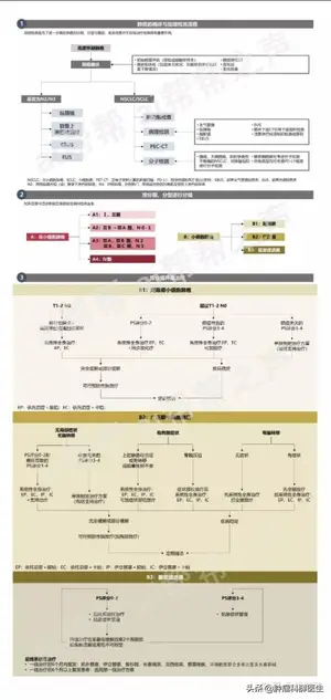 肺癌怎么治疗？ 肺癌怎么治？