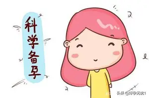 备孕期间要注意什么？ 备孕期间注意事项