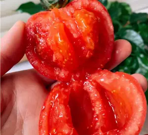 怎么去除法令纹？ 怎样消除法令纹？