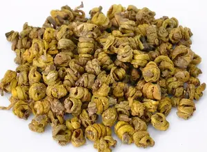 铁皮石斛哪里买?石斛哪的好?石斛产地哪里正宗? 铁皮石斛哪里买?石斛哪的好?石斛产地哪里正宗?