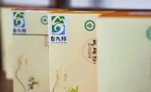 凤凰山麓中，这颗“神奇仙草”悄然开花