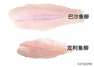 小心，你买的龙利鱼很可能是便宜的巴沙鱼冒充！教你一招快速辨别