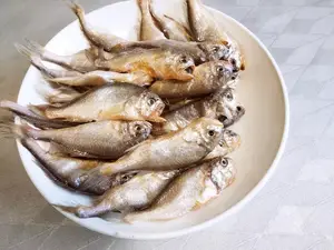 老辈人瞧不上的5种海鱼，现在却越来越贵，年轻人平时都不舍得买