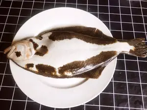 “1鮃2镜3鳎目”都是啥？你吃过几种？中秋前后遇到了，别忘尝鲜