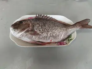中秋买海鱼，内行人喜欢这4种，刺少肉多上档次，鱼贩：这是行家