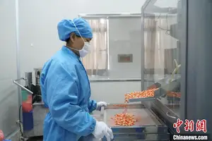广西老牌“牙膏厂”每日制药12万板 合理价格满足当地民众需求