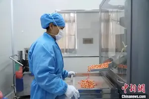 抗生素紧俏、药店限购，“阳”了能用吗？