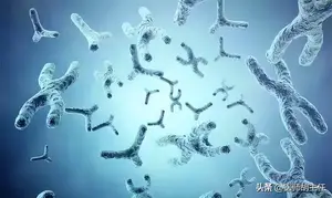 有一种剧痛叫“口腔溃疡”：只补充维生素不管用，这几种药更靠谱