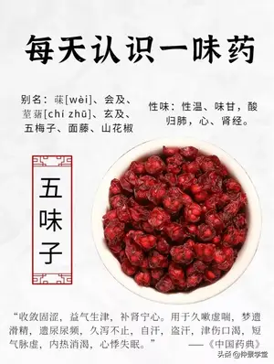 每天认识一味中药：五味子