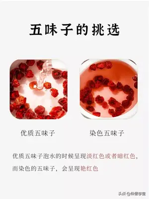 每天认识一味中药：五味子