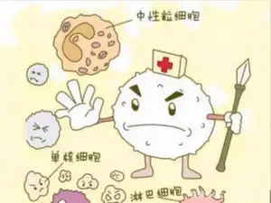 “安乃近”价格便宜，治疗效果好，现在却买不到了，是什么原因？