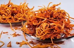 中医分享一味抗癌中药-蛹虫草