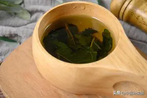 神奇的中药-桑叶，润燥止汗，清肝明目，凉血止血