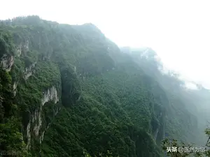 读桔梗的传说故事，看桔梗的功效与作用